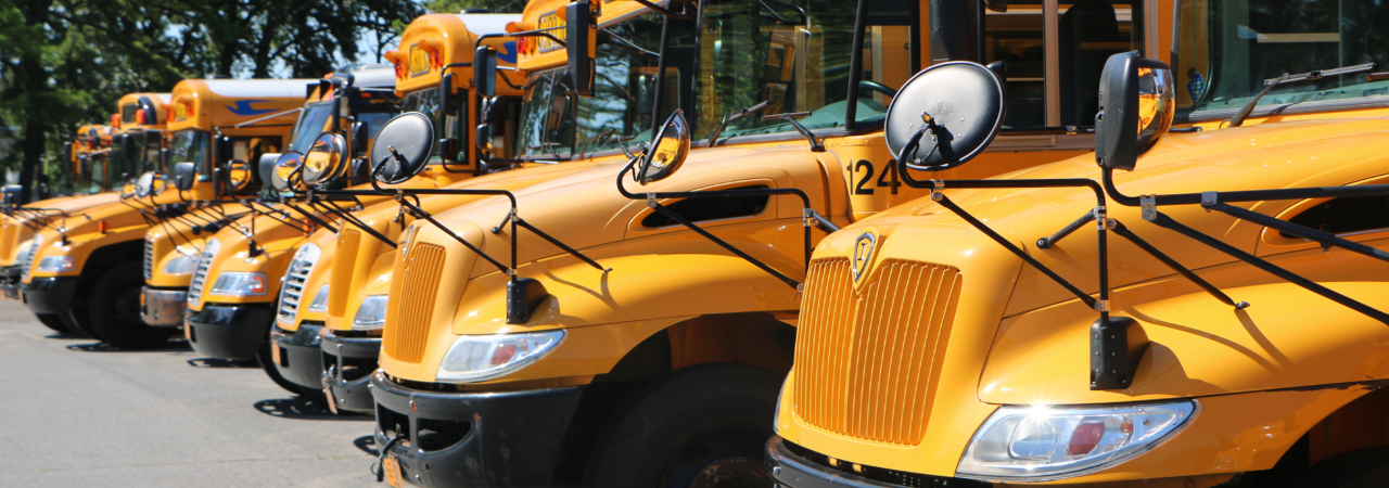 photo shows busses lined up in a row