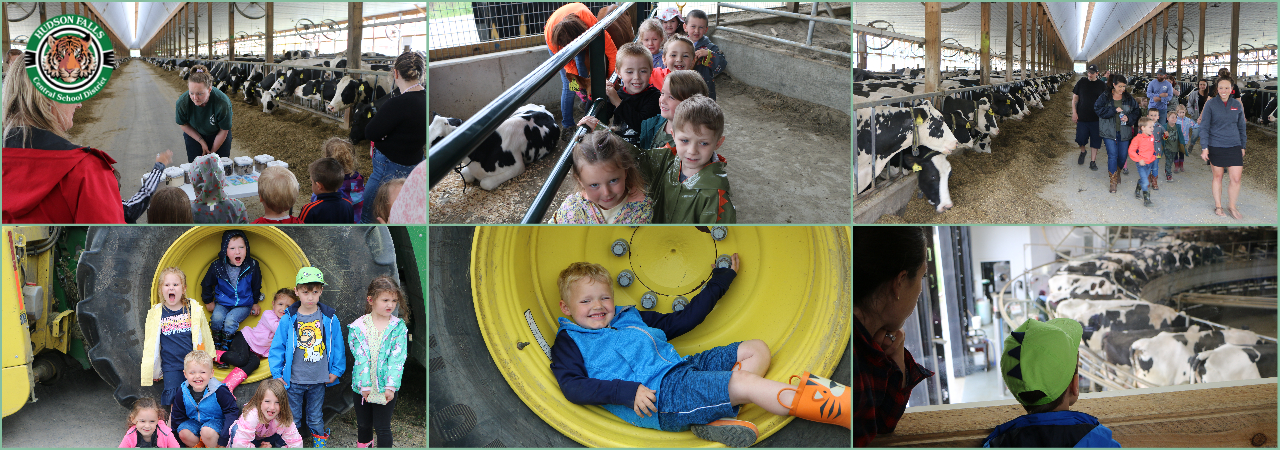Photo collage of Pre-k students visiting Ideal Dairy Farm
