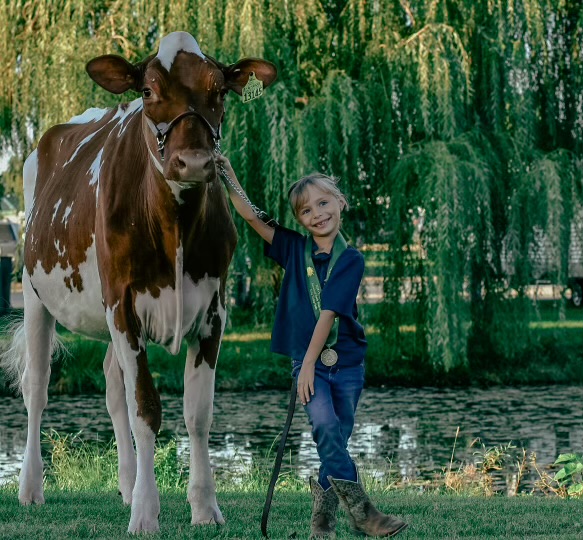 Evelyn a Hudson Falls student showing her heifer at the world dairy expo