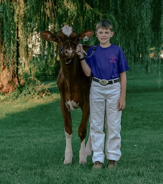 Ford a Hudson Falls student showing his heifer at the world dairy expo